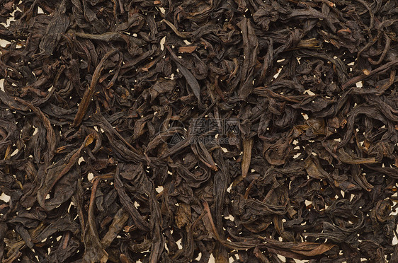 Chineese 茶背景食物文化树叶香料草本植物茉莉花饮料植物药品图片