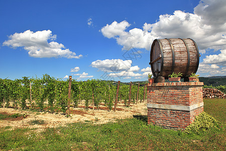 意大利葡萄酒 意大利北部卡斯蒂格利昂法雷托图片