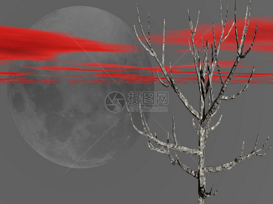死树和月亮图片