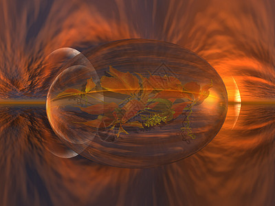 橙色泡泡液体气泡海滩天空晴天橙子海洋太阳阳光背景图片