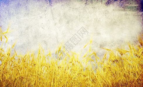 卢旺达小麦农村收成收割机天空面粉收获生长谷物食物大麦图片