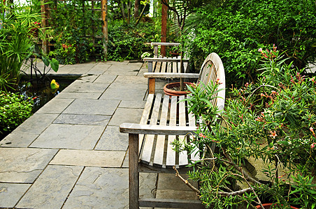 稀绿花园植物叶子铺路树木池塘人行道院子长椅美化座位图片