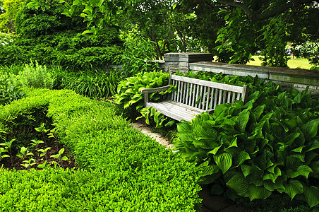 稀绿花园闲暇美化小路人行道装修园林座位园艺树篱植物图片
