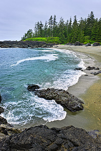 加拿大太平洋海岸沿岸的加拿大风景支撑海洋海浪海岸岩石森林波浪泡沫冲浪图片
