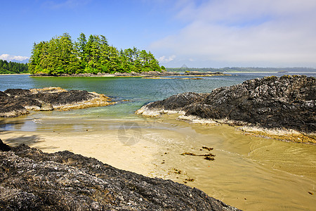加拿大温哥华岛太平洋海岸 加拿大温哥华石头支撑岩石树木海洋风景轮缘海岸森林荒野图片