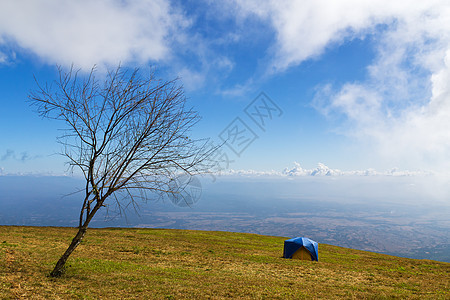 睡在草地上环境旅游活动帐篷森林闲暇庇护所荒野风景冒险图片