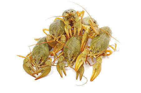龙虾食物美食螃蟹海鲜午餐红色白色小龙虾背景图片