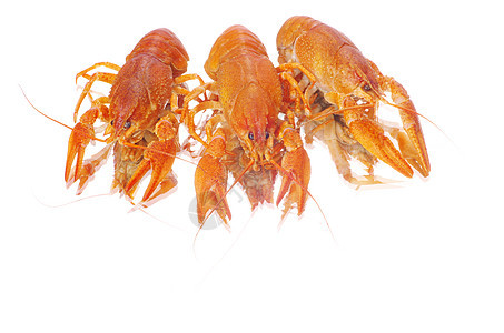 龙虾食物宏观贝类小龙虾淡水红色海鲜小吃眼睛美食图片