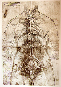人马男人建筑学解剖学生物学金属场地艺术圆圈身体绘画图片