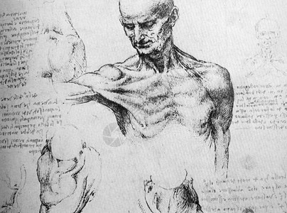 人马正方形建筑学装饰品金属生物学圆圈男人艺术解剖学身体图片