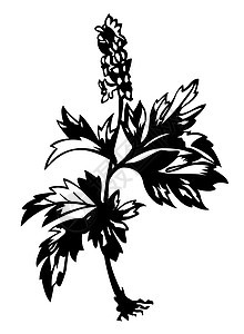 白色背景上的花筒 矢量插图OFD墙纸木头床单植物艺术品森林夹子胡索场地创造力图片