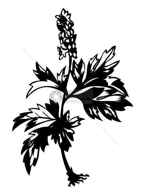 白色背景上的花筒 矢量插图OFD墙纸木头床单植物艺术品森林夹子胡索场地创造力图片