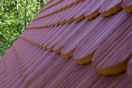 与部分叶子排水的顶顶瓷砖旅行瓦片建造矿物场景建筑学城市房子历史红色图片