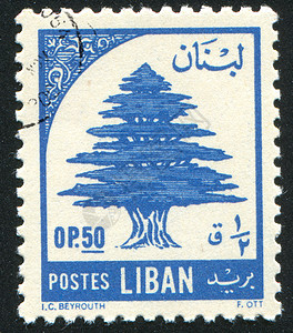 黎巴嫩行动中心植物历史性信封邮件古董邮票木头地面花园农村图片