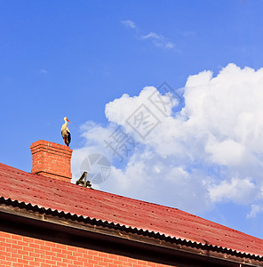 坐在屋顶顶上的斯托克图片