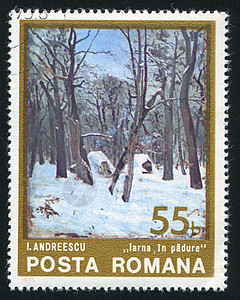 森林中的冬季邮件古董天空邮戳集邮草丛独木舟邮票信封树干图片