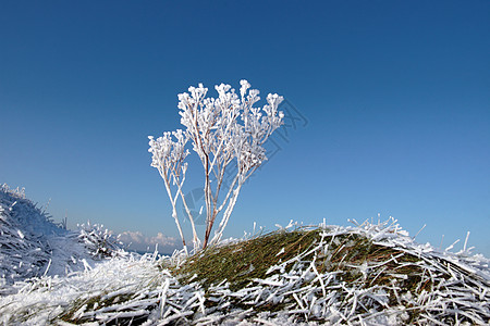 霜草霜雪覆盖沟渠 有杂草背景