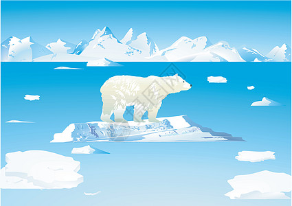 北极熊和冰山图片