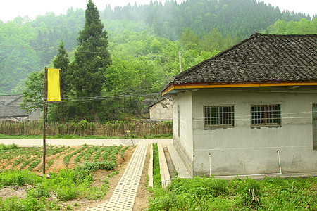 中国农村地区房屋和农田面积 农村图片