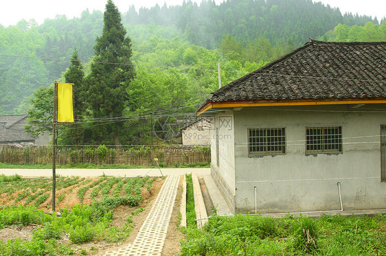 中国农村地区房屋和农田面积 农村图片
