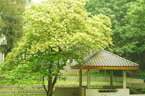 花园的朝圣和走道图片