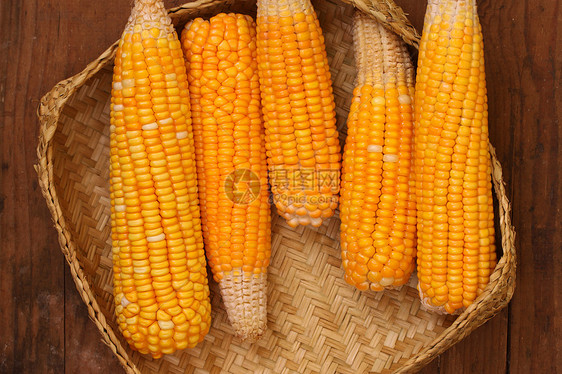 玉米种子蔬菜收获收成食物活力棒子烹饪生活叶子核心图片