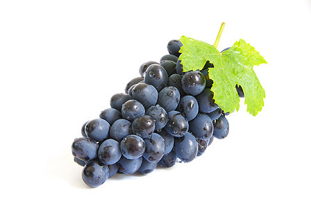 葡萄水果活力藤蔓美食阳光茶点黑色食物绿色枝条图片