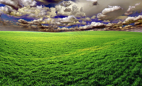 字段绿色土地地平线远景全景阳光农场农业场地植物图片