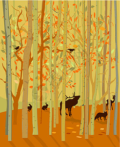 秋季的森林动物图片