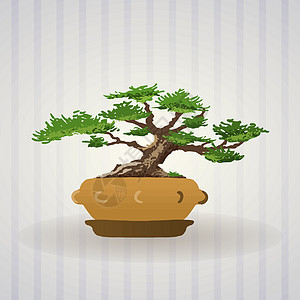 Bonsai 树矢量艺术图片