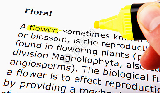 黄色突出显示的文本课堂教学学习毛毡概念字典学校教练教育荧光笔图片