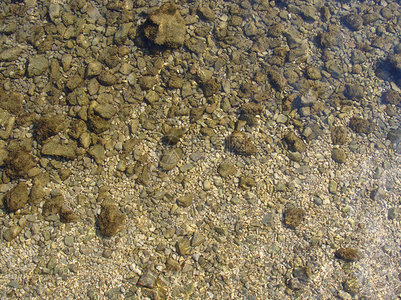 落岩底海岸碎石藻类岩石波纹海浪日光太阳黄色棕色图片