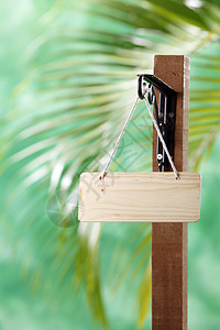 信息媒介绿色选择性焦点棕榈背景木柱横幅媒体标志图片