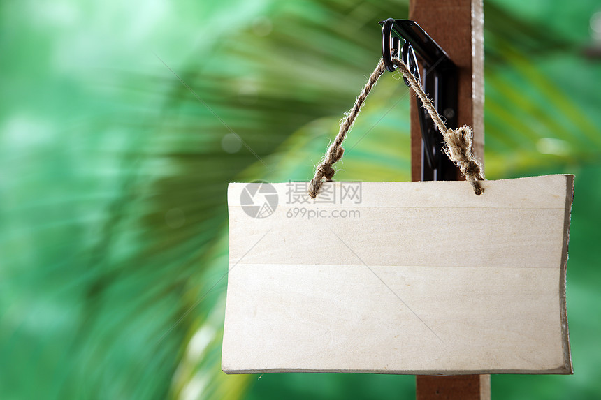 信息媒介背景横幅媒体绿色焦点棕榈标志选择性木柱图片