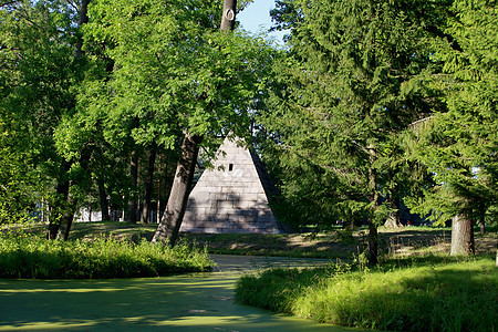 金金字塔历史石头乌鸦森林踪迹建造建筑学树木神话旅行图片
