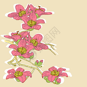 浅背景下的鲜嫩花朵花兰花手绘卡片传统问候语绘画叶子邀请函兰花花园装饰图片