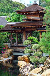 草林和绿树寺庙文化盆栽建筑尼姑庵院子池塘金子园林佛教徒图片