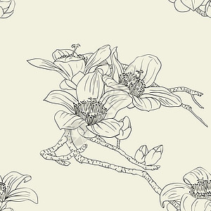 带兰花花的无缝壁纸绘画墙纸装饰叶子兰花问候语手绘蝴蝶花园种子图片