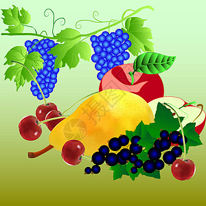一组水果插图绘画收成食物黑色李子浆果概念数字艺术图片