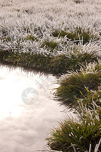 草地上霜冻 有池塘天空太阳野生动物季节天气土地公园场地环境冻结图片