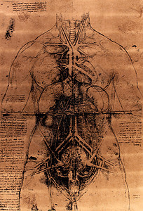 人马艺术金属正方形建筑学场地生物学身体圆圈男人绘画图片