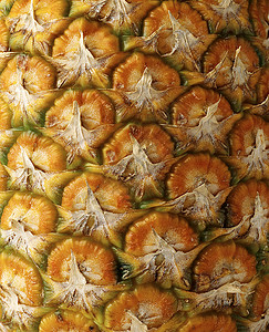 详细菠萝贴近宏观异国热带甜点水果营养食物情调小吃果皮图片