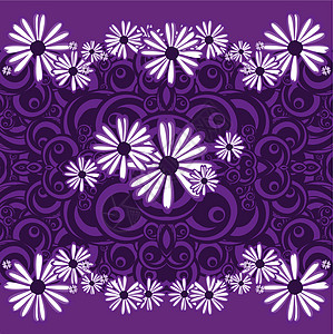 使用 disisies 样式花瓣紫色雏菊图片