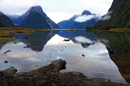 密尔福德音响新西兰峡湾岩石苔藓地标石头瀑布场景国家反射冰川图片
