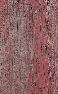 高分辨率高度分辨率 天然困苦林木木质彩色自然纹棕色建筑颗粒状外观外墙风化纹理图片