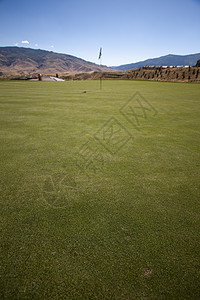 高尔夫球场有绿草和清蓝的天空土地园景纹理面积小鸟生长栽培课程场地摄影图片