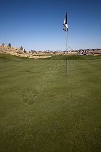 高尔夫球场有绿草和清蓝的天空风景面积娱乐运动场地植物环境小鸟生长栽培图片