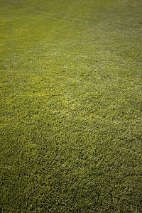 高尔夫球场有绿草和清蓝的天空植物风景阳光运动面积蓝色生长画幅活力土地图片