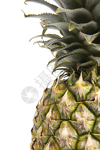菠萝的详情背景图片