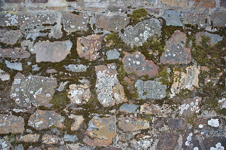 城堡墙墙旅行砖块历史性石头水泥苔藓石材工艺岩石假期图片